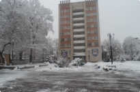 Зимові візерунки Прикарпатського краю (передноворічне есе або думки, навіяні приходом зими) Photo
